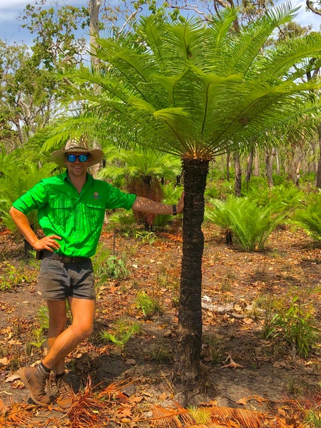 Rossy the Guide Next to cycad
