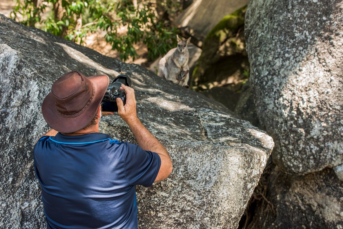 man taking photo of rock wallaby and baby