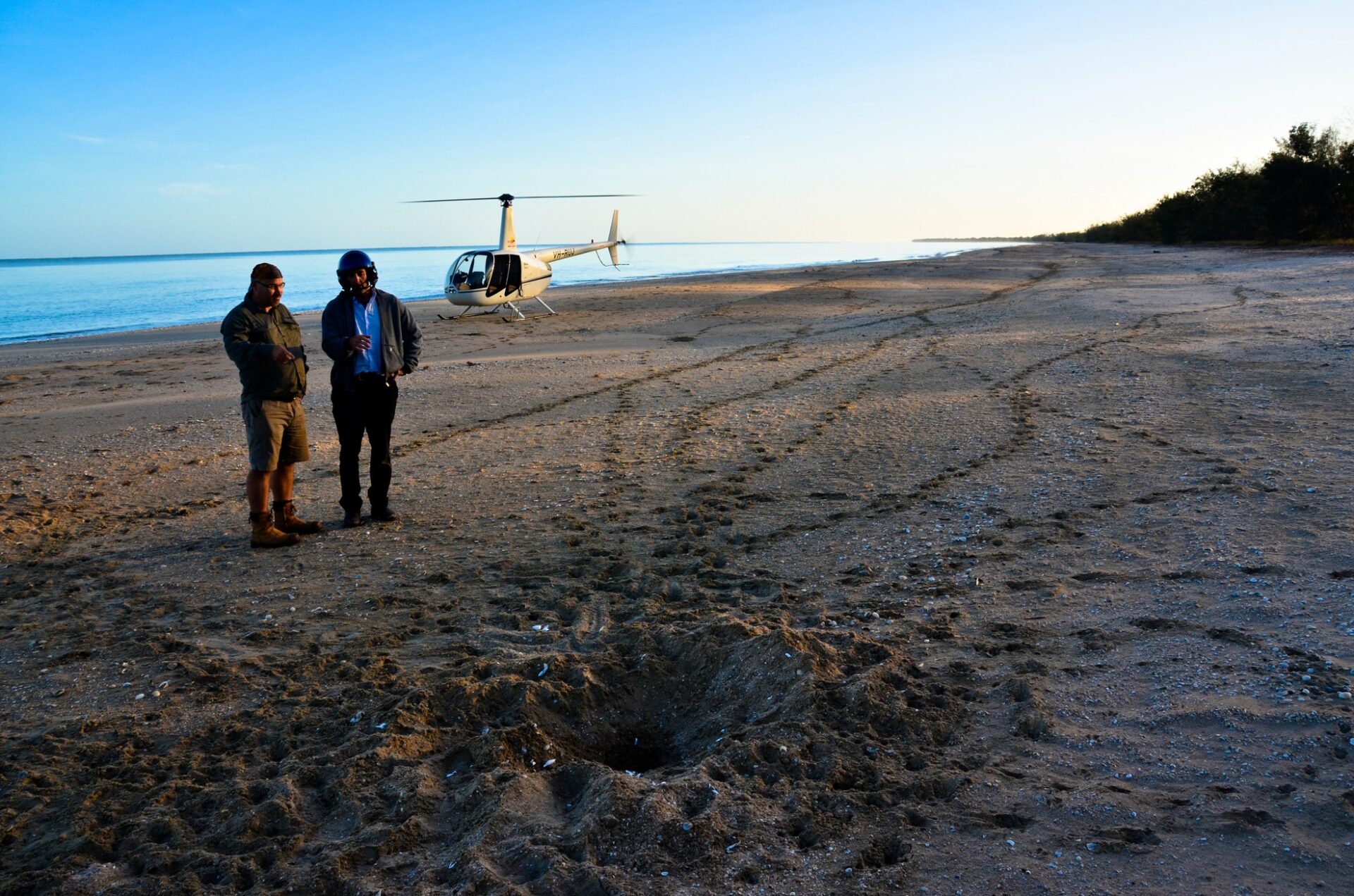 men and helicopter next to turtle nest