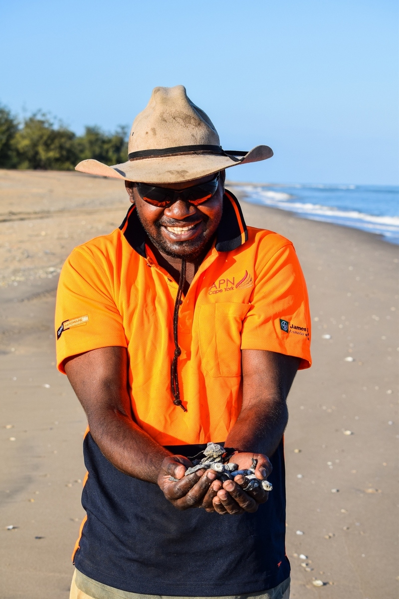 aboriginal man holding turtle hatchlings
