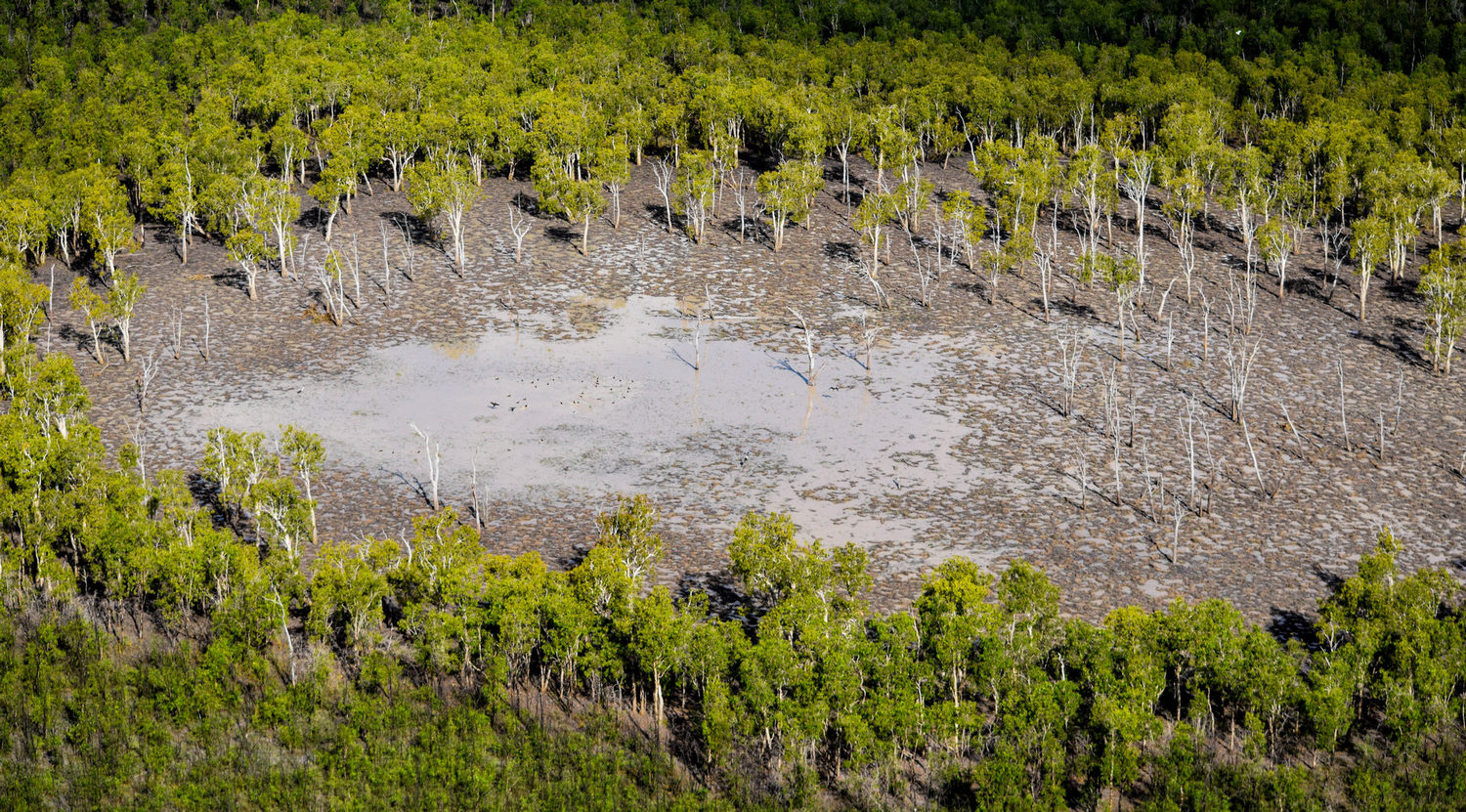 aerial image of muddy swamp