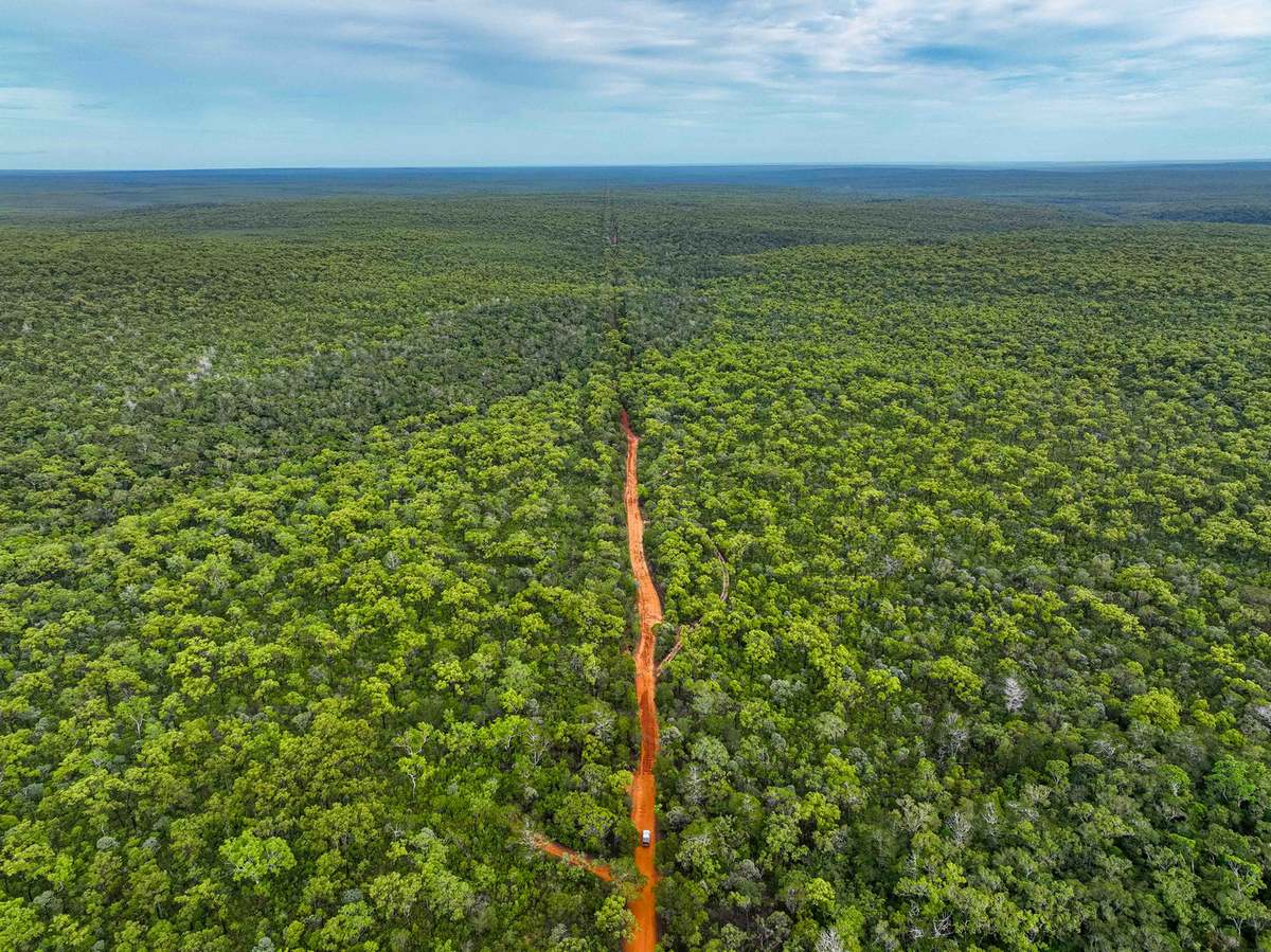 aerial view of the old telegraph track cape york